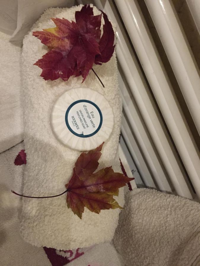 Chambre Et Salle De Bain Cocooning Labellisee Nice Luaran gambar