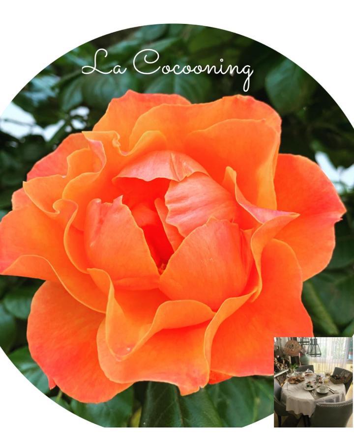 Chambre Et Salle De Bain Cocooning Labellisee Nice Luaran gambar